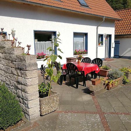 Ferienwohnung Ardea Alba Wunstorf Exterior foto