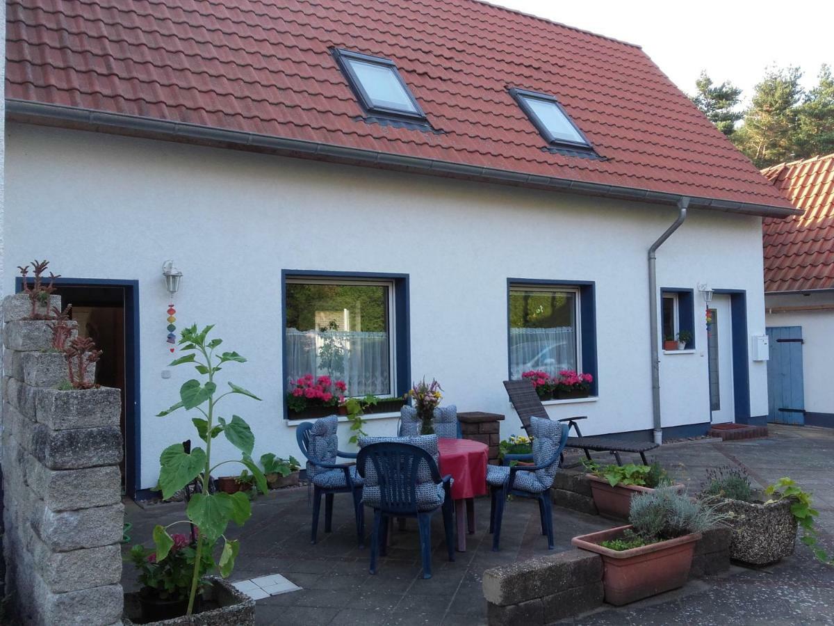 Ferienwohnung Ardea Alba Wunstorf Exterior foto